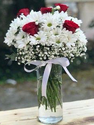 Vazoda Papatya ve 5 Gl